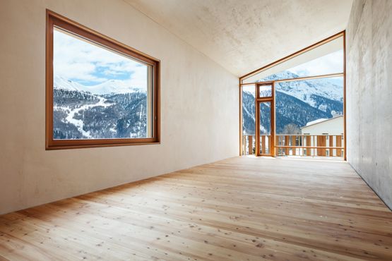 Fenster & Terrassentüre aus Holz 